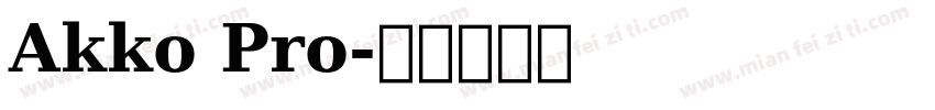 Akko Pro字体转换